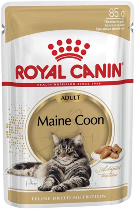 Royal Canin Maine Coon Katzenfutter Kg Amazon De Haustier