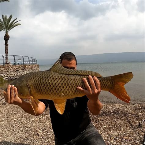 נפתלי ערוץ הדיג במים מתוקים שבירת שיא אישי לחורף 2022 בדיג קרפיונים