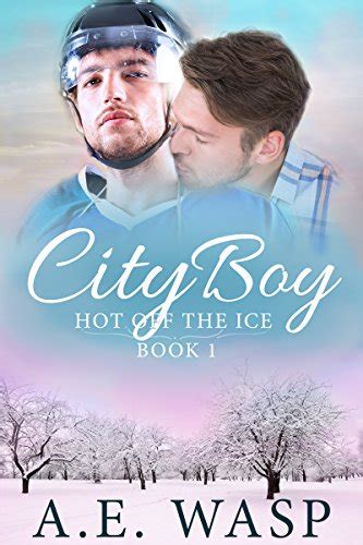 Hot Off The Ice Series By A E Wasp Hockey Romance Novels