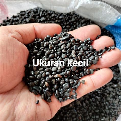 Jual Batu Alor Bali Batu Hitam Aquascape 1 Kg Shopee Indonesia