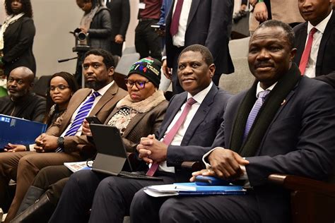 Deputy President Paul Mashatile Addresses Launch Of South Flickr