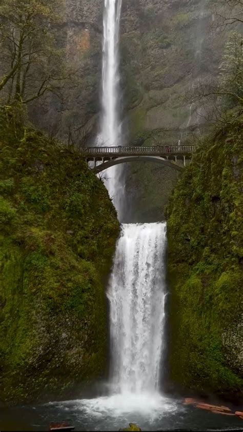 Multnomah Falls Or Pacific Northwest Travel Oregon Aesthetic Pnw Aesthetic