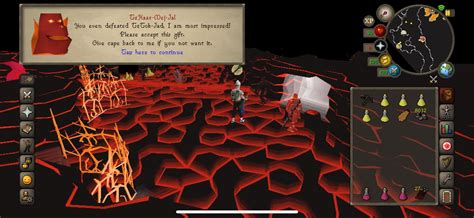 I Convinced My Brother To Start Playing Osrs 1def Pure Mobile Firecape