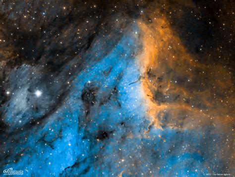 IC 5070 The Pelican Nebula In SHO Cosgrove S Cosmos