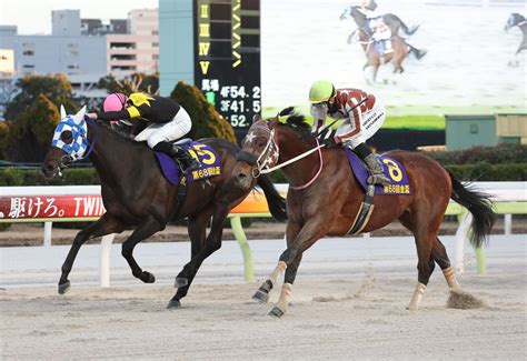 【地方競馬】ランリョウオーが地方最長距離の重賞を制覇 競馬ニュース