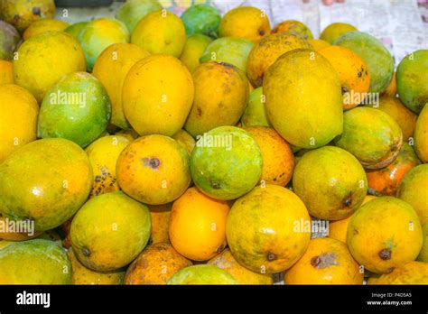 Ripe Mango Tree Hi Res Stock Photography And Images Alamy