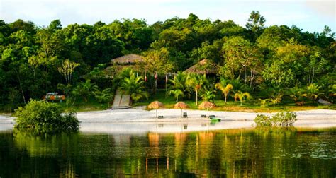 Amazon Eco-park Lodge & Brazil Jungle Lodge | SouthAmerica.travel