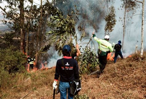 Minam 2 500 incendios forestales se han registrado en lo que va del año