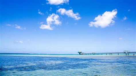 10+ Micronesia Guam Mission Stock Photos, Pictures & Royalty-Free ...