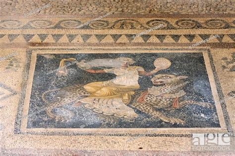 Mosaic Showing Dionysos Riding On A Panther From House Of The Masks