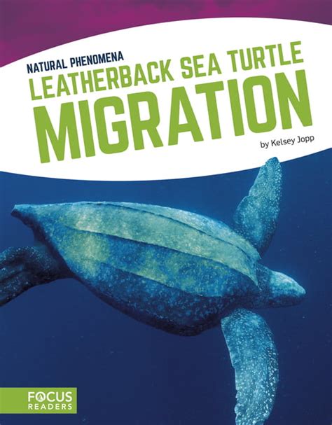 Leatherback Sea Turtle Migration Paperback