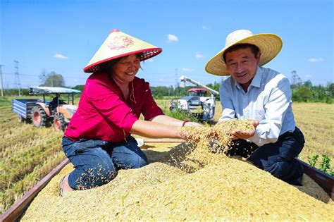 7th Chinese Farmers Harvest Festival Celebrated Across China