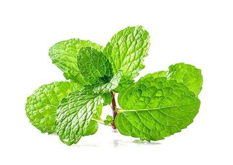 Peppermint Png Transparent Images Png All