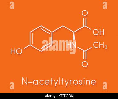 Tyrosine L Tyrosine Tyr Y Amino Acid Molecule Stylized Skeletal