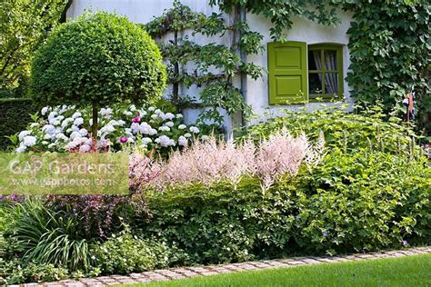 Mixed Planting Inclu Stock Photo By Robert Mabic Image 0615797