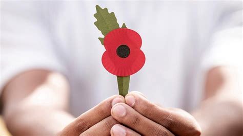 Plastic-Free Remembrance Poppies : Remembrance Poppies