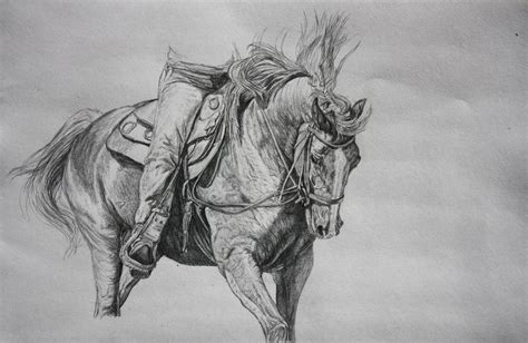 Pencil Sketch Horse Images - pencildrawing2019