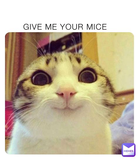 GIVE ME YOUR MICE | @catmemez | Memes