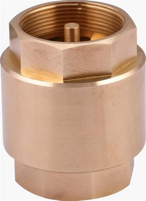 20mm Brass Multi Check Valve At Rs 460 Piece Brass Check Valve In