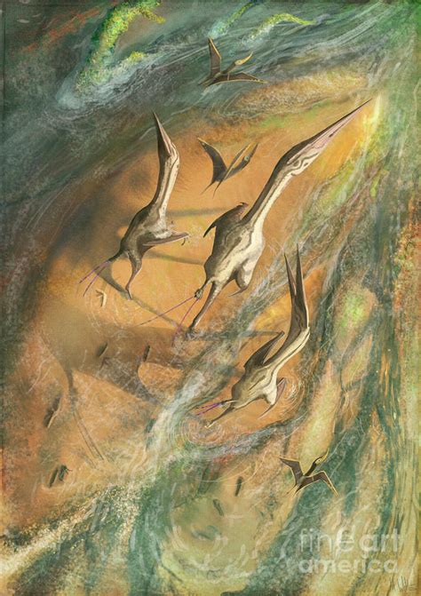 Azhdarchid Pterosaurs Walking Photograph By Mark P Wittonscience