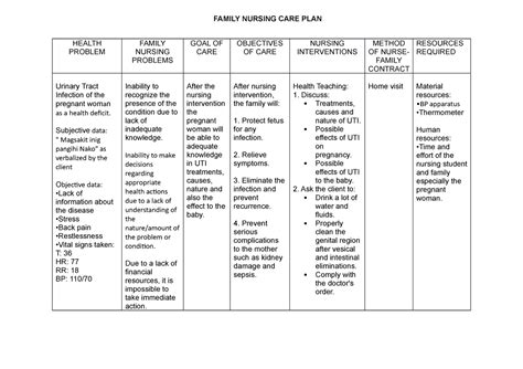 Uti Care Plan Sample