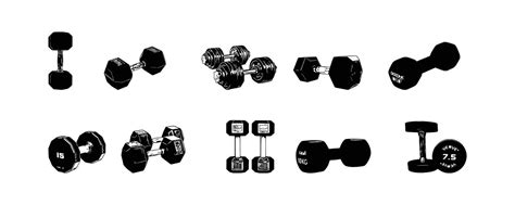 Dumbbell Vector illustration. 24128075 Vector Art at Vecteezy