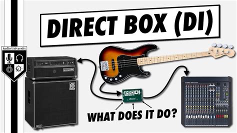 11 Best DI Boxes For Bass Guitar 2020 Atelier Yuwa Ciao Jp