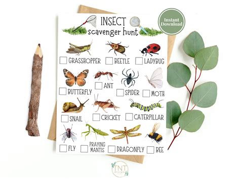 Bug Scavenger Hunt Printable Scavenger Hunt Nature Etsy Canada