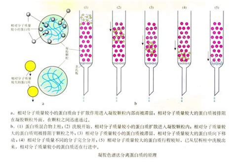 色谱法的原理