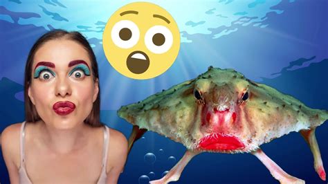 Top 10 Strange Animals You Probably Didnt Know Exist Youtube