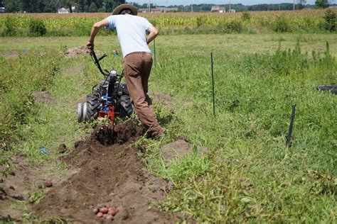 Bcs Root Digger Attachment Perkins Good Earth Farm