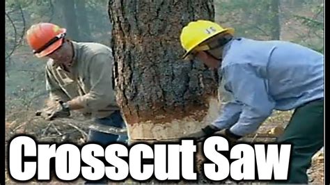 How To Use Crosscut Saw Safely And Effectivelybucking Loghow To Youtube