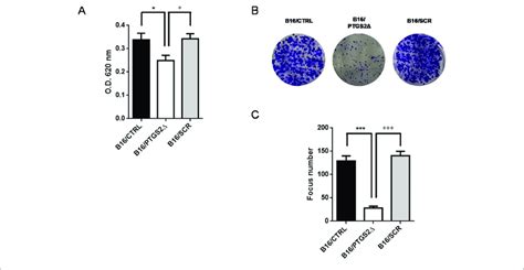 | Knockdown of PTGS2 reduces cell proliferation and clonogenicity. Cell ... 