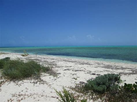 Beach In Front Of The Baycaner Picture Of Mayaguana Bahamas