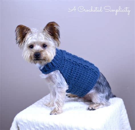 15 Crochet T Ideas For Dog Lovers Timmelcrochet