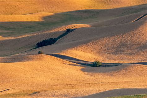 Photos of Palouse, Washington - VAST