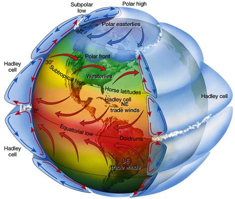 Convection Cell Diagram Convection Currents Heats Faster The