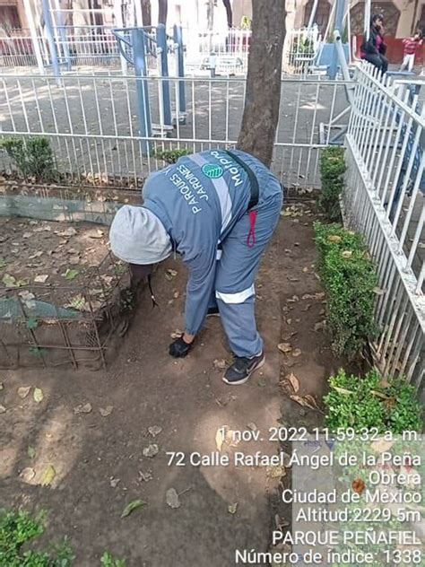 Alcald A Cuauht Moc On Twitter La Acumulaci N De Basura Genera Plaga