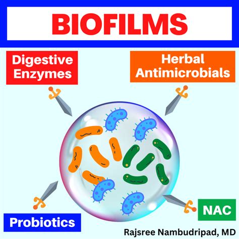 Biofilms In The Gut Microbiome Oc Integrative Medicine