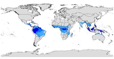 Tropical Climate Characteristics (Rainforest & Monsoon Climate) - Boycott Cop28