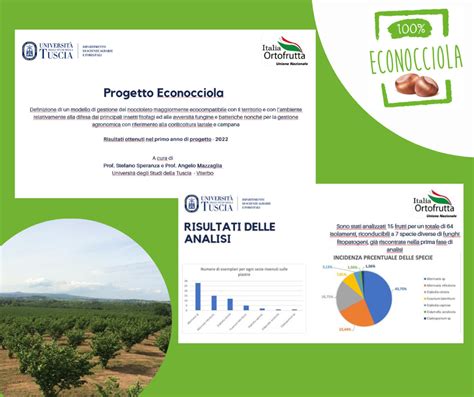 Risultati Ottenuti Nel Primo Anno Di Progetto Benvenuti Su