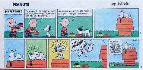 Peanuts Comic