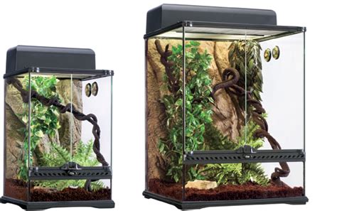 Exo Terra Habitat Kit Rainforest Kit Inicio Terrario Selva