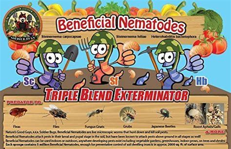 Beneficial Nematodes For Termtites: Are They Really Effective? | PestsGuide