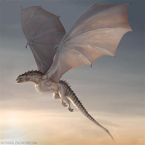 hotdgot dragons collection  monika zagrobelna rimaginarywesteros