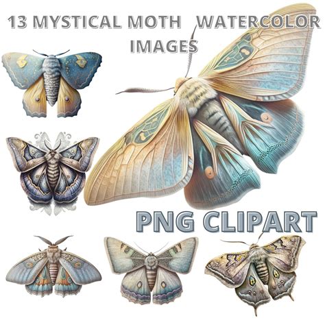 Magical Moths Watercolor Clipart Moths Fantasy Style Magical Etsy