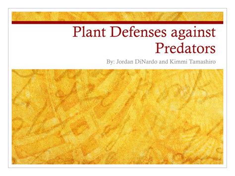 Ppt Plant Defenses Against Predators Powerpoint Presentation Free