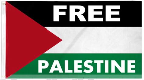 Palestine Flag - 3x5 Ft - Vivid Color - Fade Proof - Islamic Gift in ...