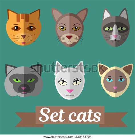 Set Cat Faces Stock Vector Royalty Free 630483704 Shutterstock