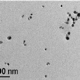 Tem Images Of Agnps A Before And B After Treatment With Mm L Trp